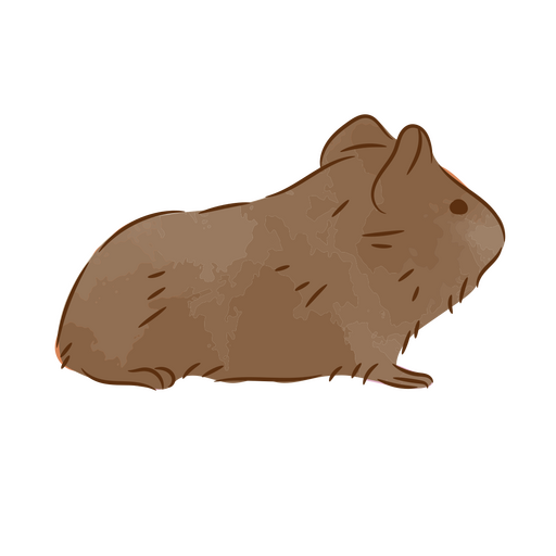 Süßes Meerschweinchen halb flach PNG-Design