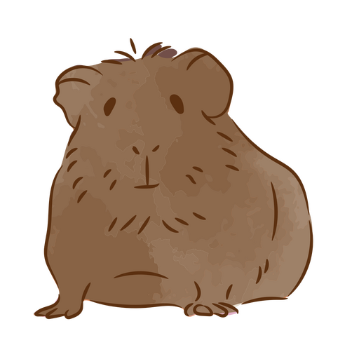 Fat guinea pig color stroke