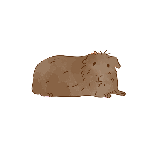 Süßes Meerschweinchen, das einen Farbstrich legt PNG-Design