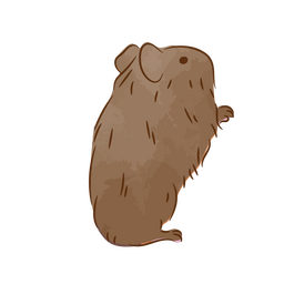 Lindo conejillo de indias de pie trazo de color Diseño PNG