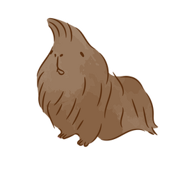 Super fluffy guinea pig color stroke PNG Design