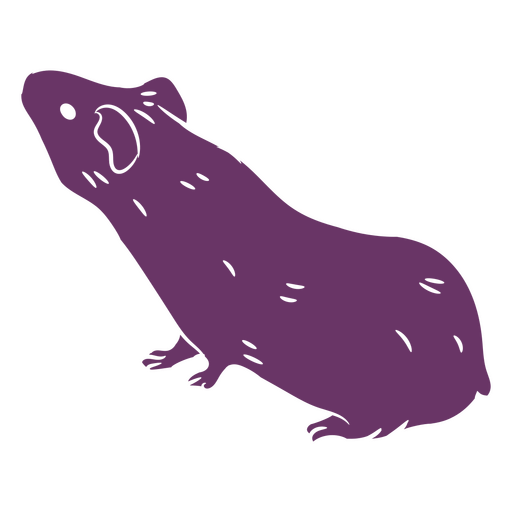 Curious guinea pig cut out PNG Design