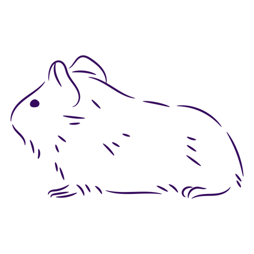 Porquinho da índia pequeno animal de estimação Desenho PNG