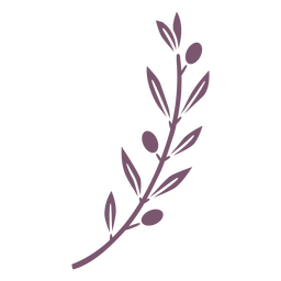 Olivenzweig und Blätter ausgeschnitten PNG-Design
