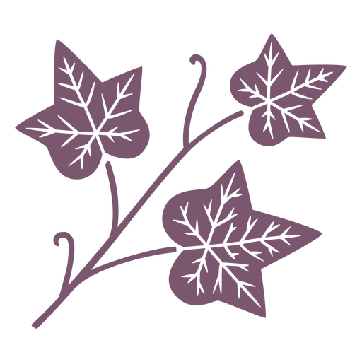 Ivy leaves cut out element PNG Design