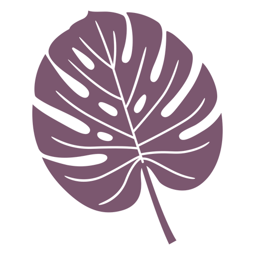 Monstera plant leaf cut out element PNG Design