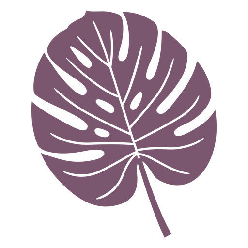 Monstera Tropical Plant Leaf Stroke Png And Svg Design For T Shirts