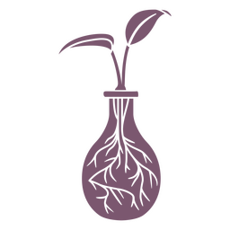 Planta em vaso de vidro recortado