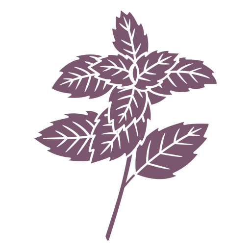 Blätter der Minzpflanze ausgeschnitten PNG-Design