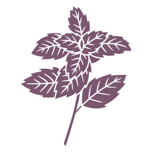 Folhas de plantas de hortelã cortadas Desenho PNG