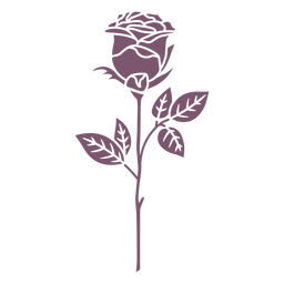 Rose flower element cut out