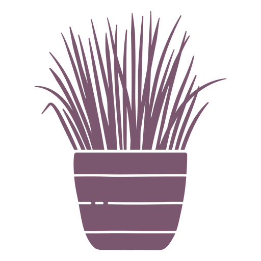 Planta de folhas longas em vaso cortado