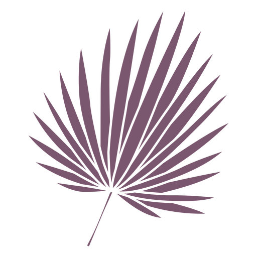 Elemento de corte de folha de palmeira tropical Desenho PNG