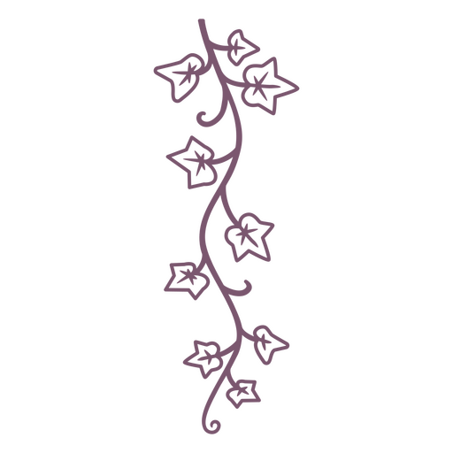 Ivy branch stroke element PNG Design