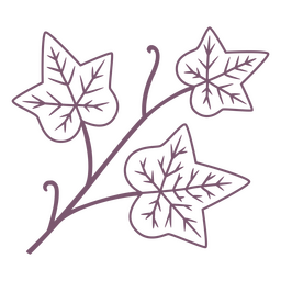 Ivy Leaves Stroke Element PNG & SVG Design For T-Shirts