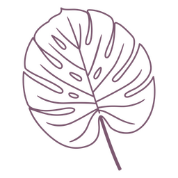 Monstera-Pflanzenblatt-Strichelement PNG-Design
