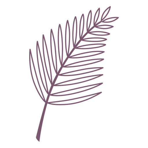 Elemento de traçado de planta de ramo de folhas finas Desenho PNG