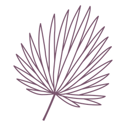 Tropical palm leaf stroke element PNG Design