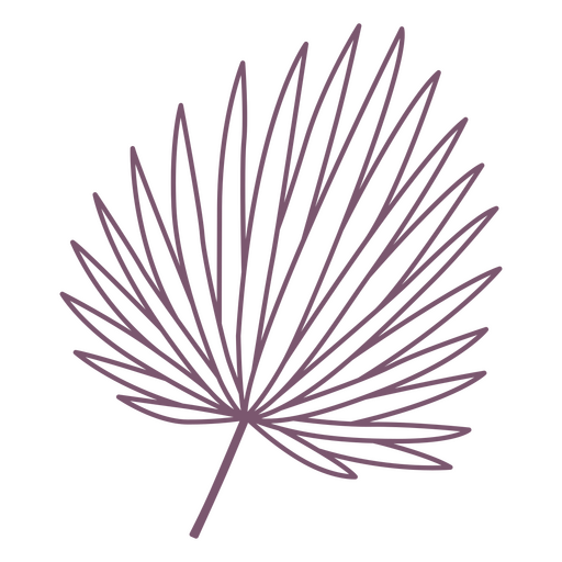 Tropical palm leaf stroke element PNG Design