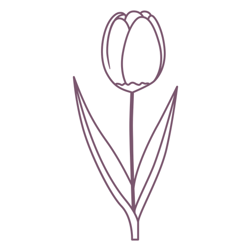 Tulip flower element stroke PNG Design