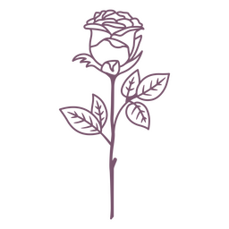 Long Stem Rose Stroke PNG & SVG Design For T-Shirts