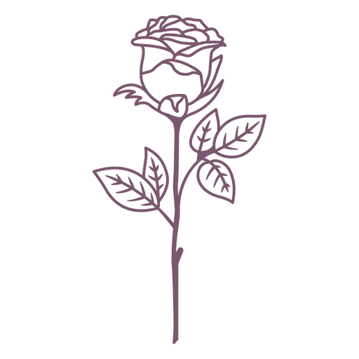 Trazo de elemento de flor rosa Diseño PNG
