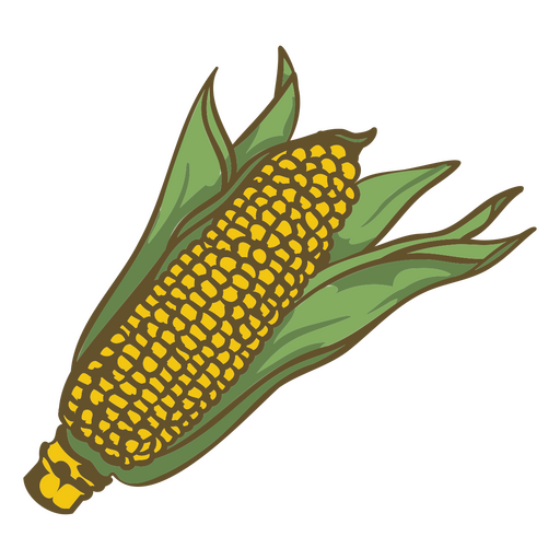 Corn vegetable farm food PNG Design