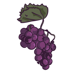 Ilustração de frutas de uva