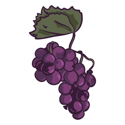 Ilustração de frutas de uva Desenho PNG