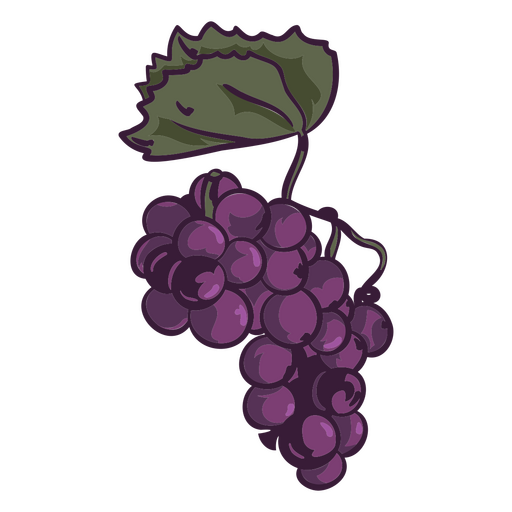 Ilustración de frutas de uva Diseño PNG