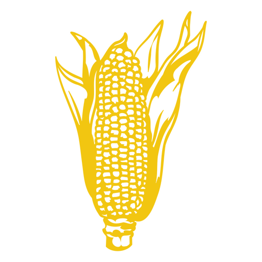 Curso de milho amarelo Desenho PNG