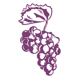 Alto contraste de uvas Desenho PNG