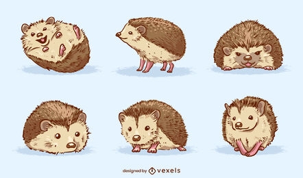 Hedgehog adorable pet animal set