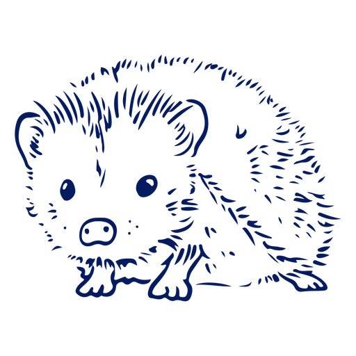Traço de animal de estimação fofo do ouriço Desenho PNG