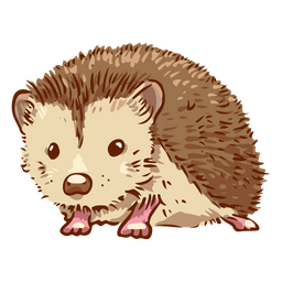 Erizo lindo animal doméstico Diseño PNG
