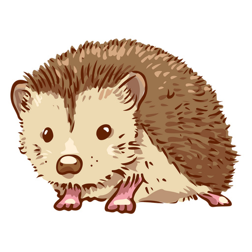 Hedgehog cute pet animal PNG Design