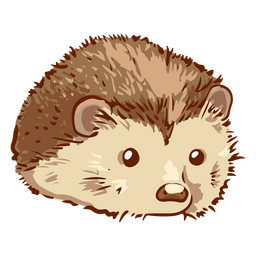 Cute Hedgehog pet animal PNG Design Transparent PNG