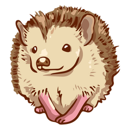 Happy hedgehog pet animal