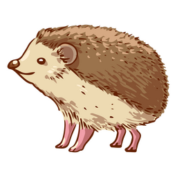Happy hedgehog animal side view PNG Design
