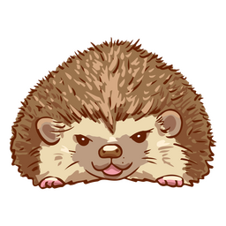 Angry hedgehog pet animal PNG Design