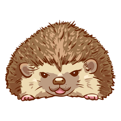 Angry hedgehog pet animal PNG Design