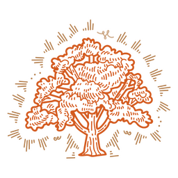 Tree hand drawn detailed PNG Design