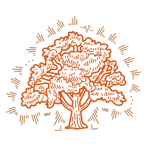Baum handgezeichnet detailliert PNG-Design