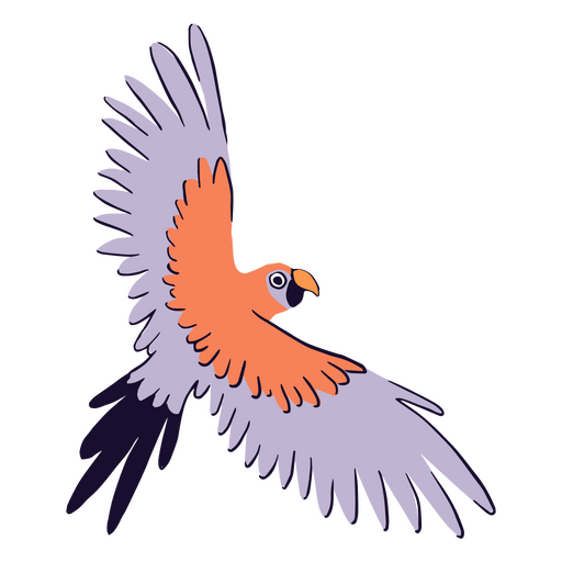 Tropical bird animal flying PNG Design