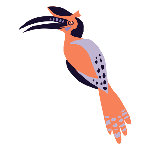 Tropical toucan bird animal PNG Design