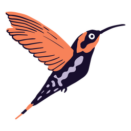 Colibrí animal volador Diseño PNG