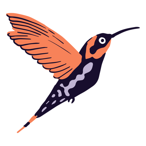 Hummingbird flying animal PNG Design