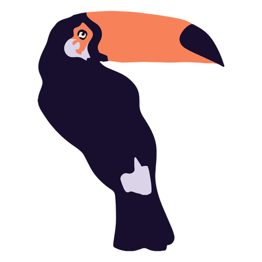 Animal de pássaro tropical tucano Desenho PNG