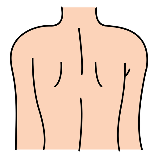 Partes do corpo de volta Desenho PNG
