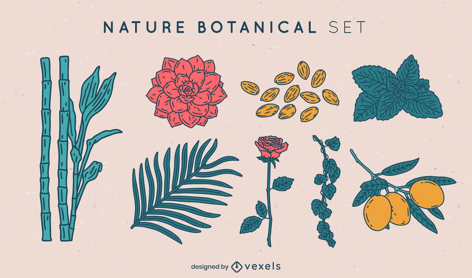 Conjunto de traços de cores de elementos botânicos da natureza